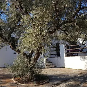 Gateway To The Alpujarras, 'cortijo Derry' Spain